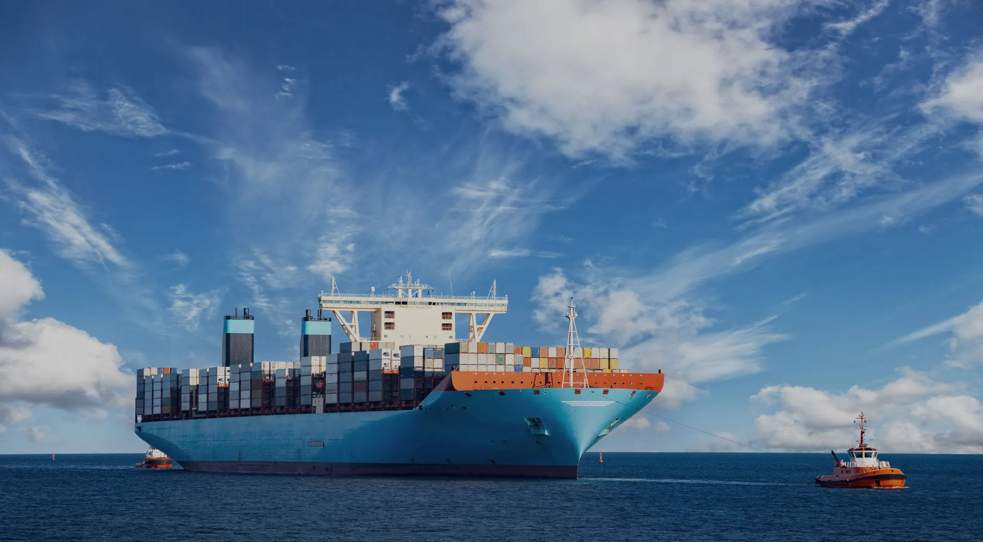 Welcome to White Whale Marine Services